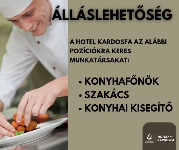 Aktuális álláslehetőségek